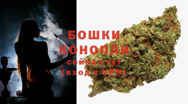 молекула духа Баксан